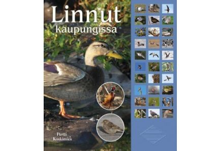 Tarjouskirjamyymälä Kirjakassi